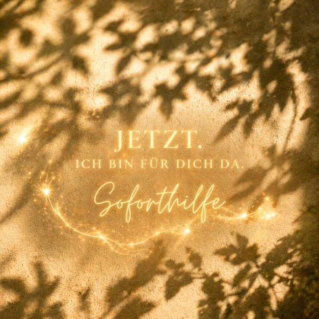 1:1 Coaching Soforthilfe, 1h